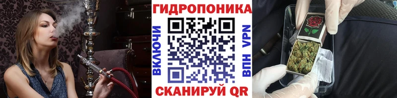 Шишки марихуана Amnesia Корсаков